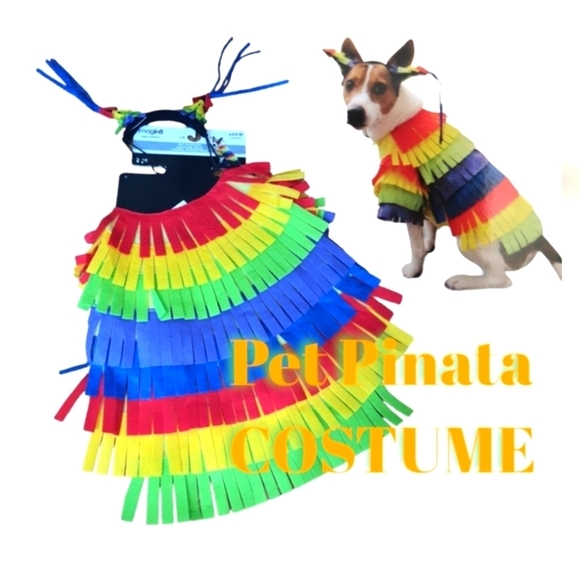 Dog pinata costume size Medium 15-30lbs, new with tags - Picture 1 of 10